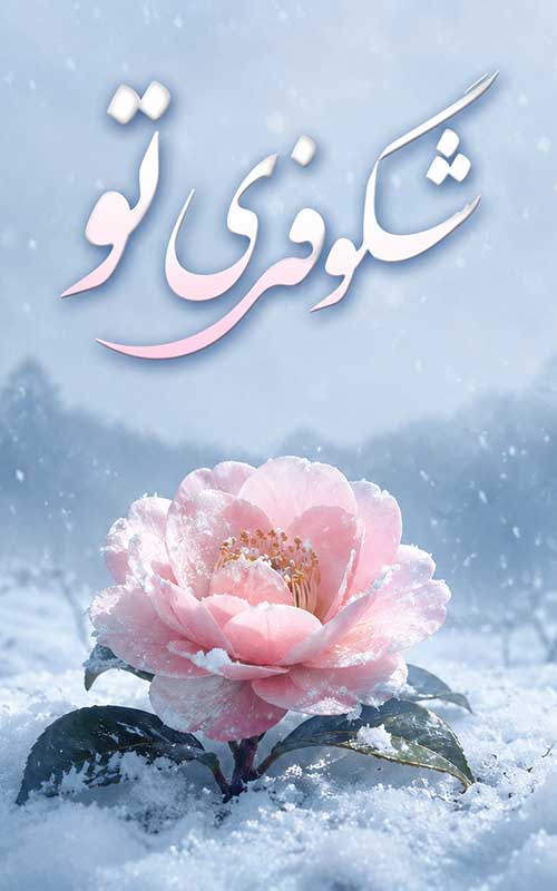 شکوفه تو